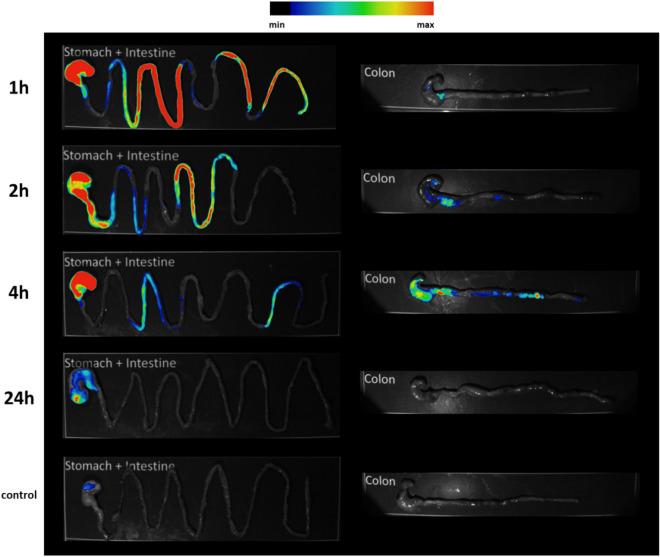 https://cdn.ncbi.nlm.nih.gov/pmc/blobs/3e51/9905611/7ce939099ae3/41598_2023_28968_Fig3_HTML.jpg