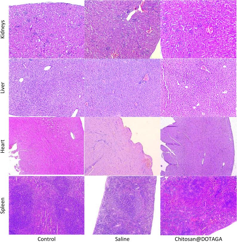 https://cdn.ncbi.nlm.nih.gov/pmc/blobs/3e51/9905611/db411a0ae056/41598_2023_28968_Fig5_HTML.jpg