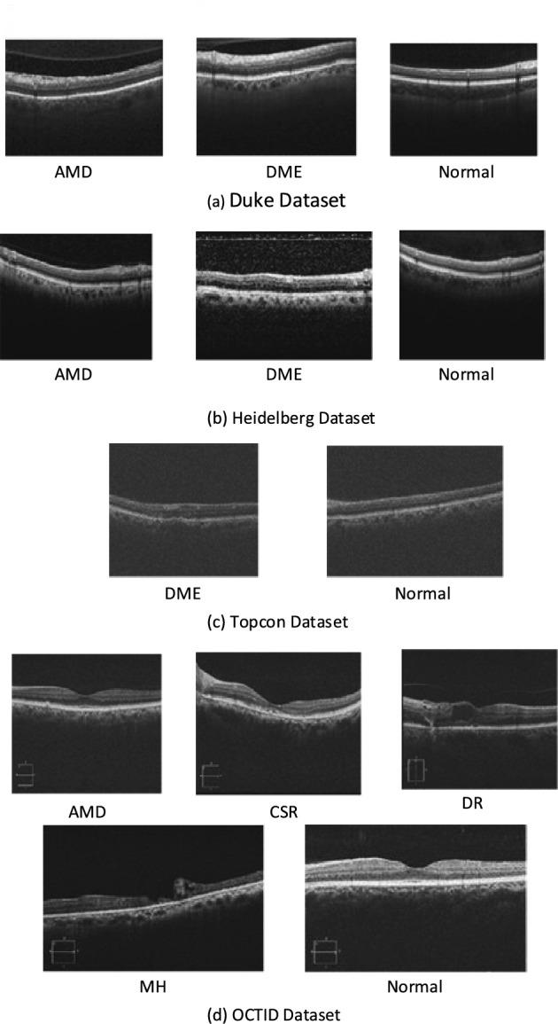 https://cdn.ncbi.nlm.nih.gov/pmc/blobs/3e52/10624695/61ce3fcf558a/41598_2023_46200_Fig2_HTML.jpg