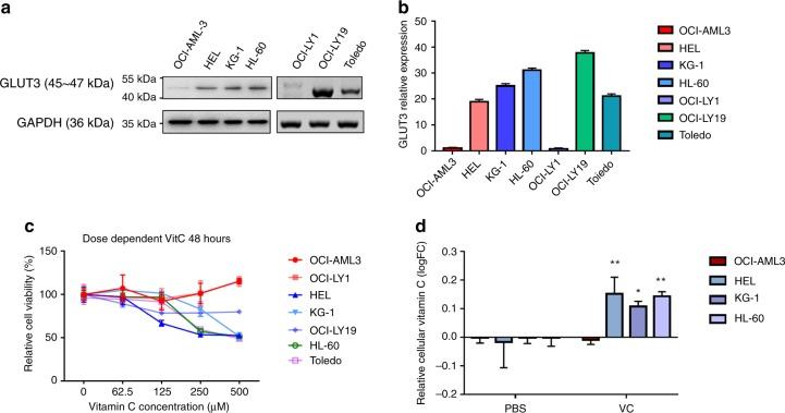 https://cdn.ncbi.nlm.nih.gov/pmc/blobs/3e53/7217885/bb27828d90eb/41416_2020_788_Fig3_HTML.jpg