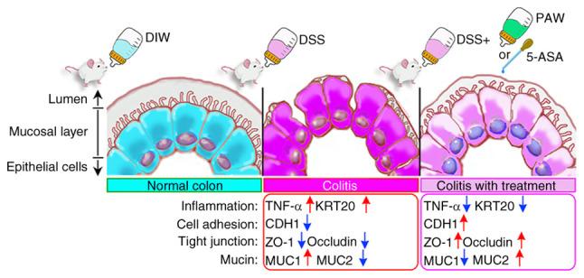 https://cdn.ncbi.nlm.nih.gov/pmc/blobs/3e55/12150364/10df35a75b14/etm-30-01-12896-g06.jpg