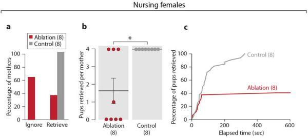 https://cdn.ncbi.nlm.nih.gov/pmc/blobs/3e57/4105201/5bd9946102de/nihms-582313-f0009.jpg