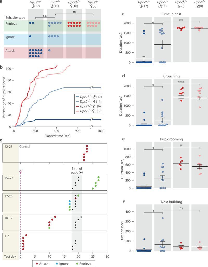 https://cdn.ncbi.nlm.nih.gov/pmc/blobs/3e57/4105201/8cf31a496324/nihms-582313-f0001.jpg
