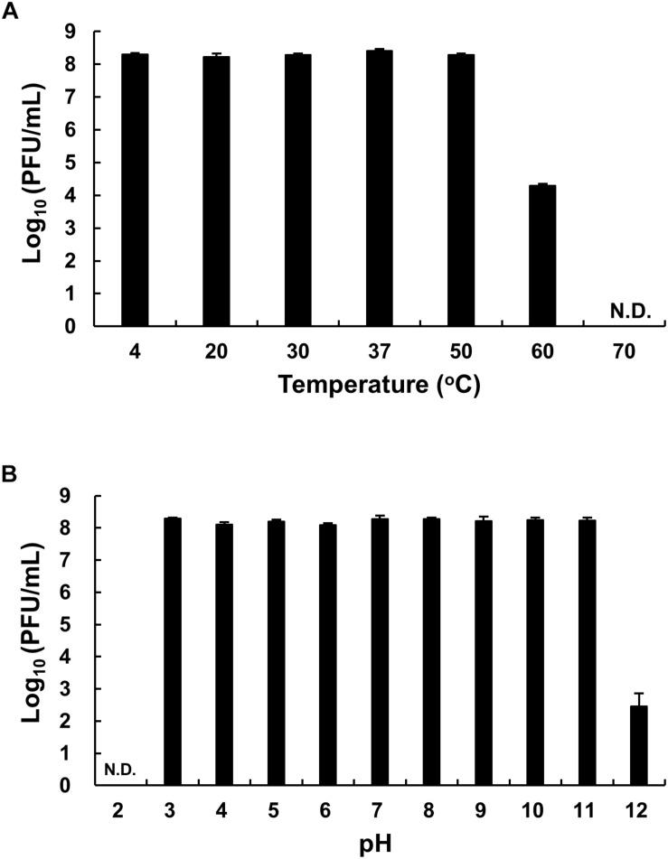 https://cdn.ncbi.nlm.nih.gov/pmc/blobs/3e57/6927925/239c94cc8e2f/fmicb-10-02877-g004.jpg