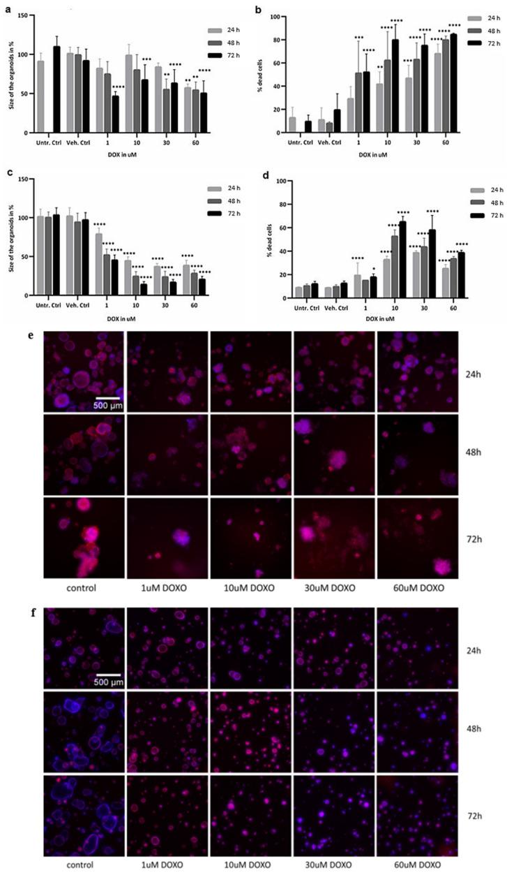 https://cdn.ncbi.nlm.nih.gov/pmc/blobs/3e59/8836276/88637c94ffaa/ijms-23-01286-g003.jpg