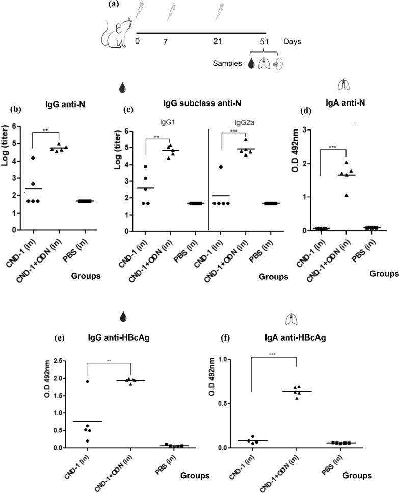 https://cdn.ncbi.nlm.nih.gov/pmc/blobs/3e5a/11606075/222562c6079c/12985_2024_2583_Fig5_HTML.jpg