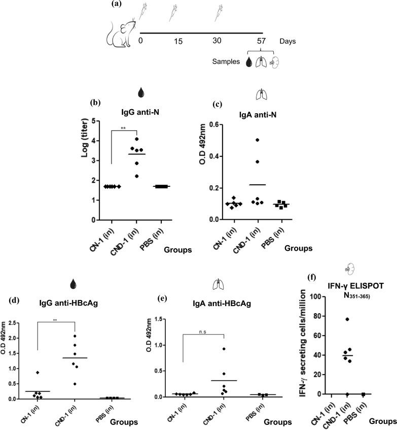 https://cdn.ncbi.nlm.nih.gov/pmc/blobs/3e5a/11606075/7491f9924586/12985_2024_2583_Fig4_HTML.jpg
