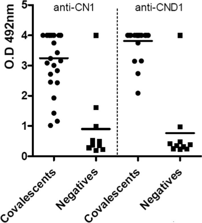 https://cdn.ncbi.nlm.nih.gov/pmc/blobs/3e5a/11606075/e8b5b79d8084/12985_2024_2583_Fig3_HTML.jpg