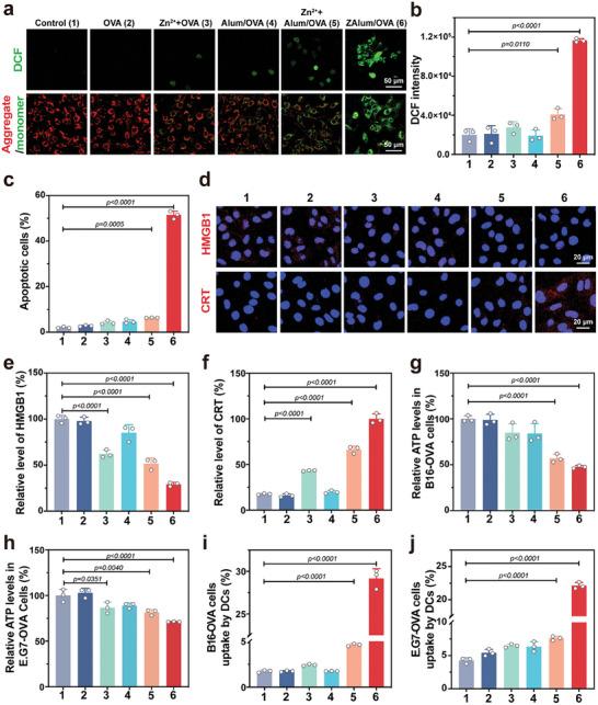 https://cdn.ncbi.nlm.nih.gov/pmc/blobs/3e5c/10853754/451f34f555b2/ADVS-11-2307389-g002.jpg