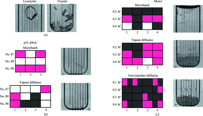 https://cdn.ncbi.nlm.nih.gov/pmc/blobs/3e5f/2733880/7f7a4acdd35c/d-65-00913-fig2.jpg