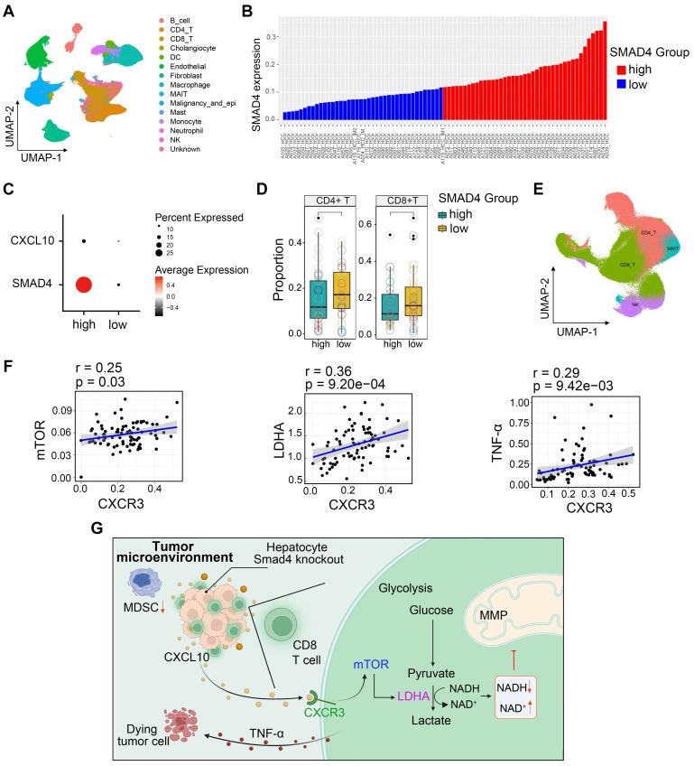 https://cdn.ncbi.nlm.nih.gov/pmc/blobs/3e62/11426237/bda09ee8886b/thnov14p5853g007.jpg