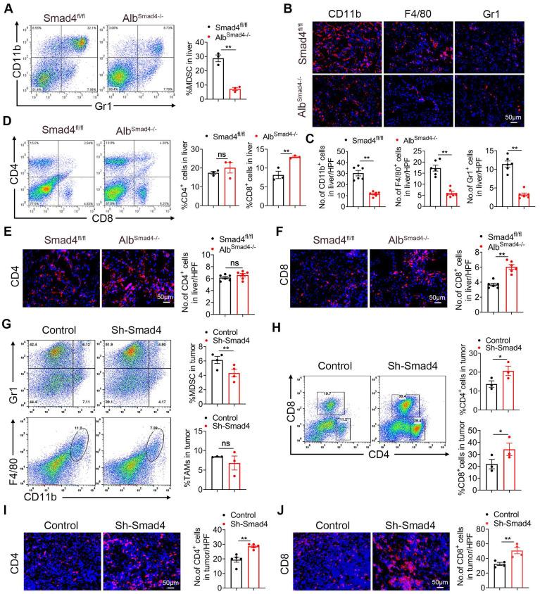 https://cdn.ncbi.nlm.nih.gov/pmc/blobs/3e62/11426237/f0c14869cda3/thnov14p5853g003.jpg