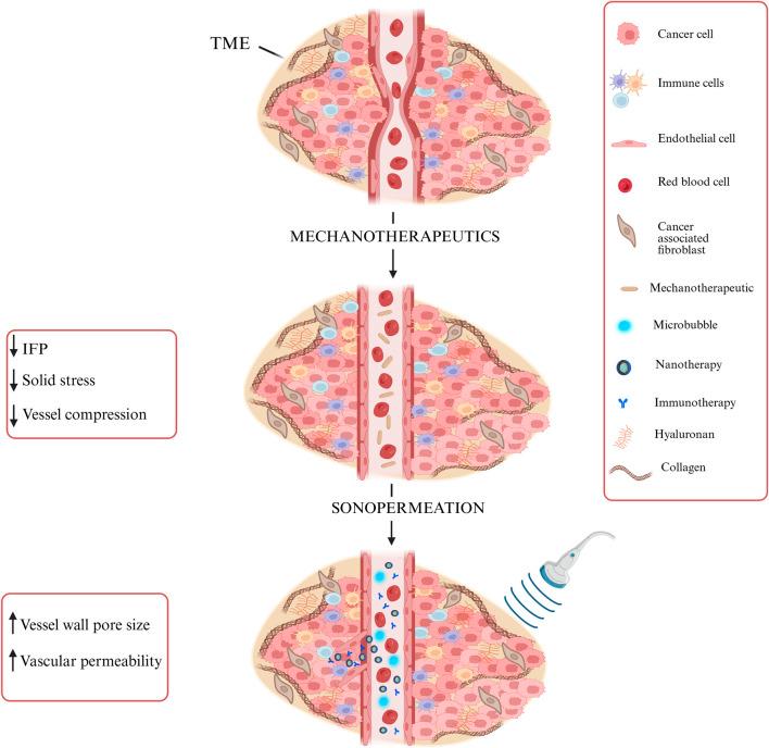 https://cdn.ncbi.nlm.nih.gov/pmc/blobs/3e62/12360438/138611fabd27/fddev-05-1549098-g002.jpg
