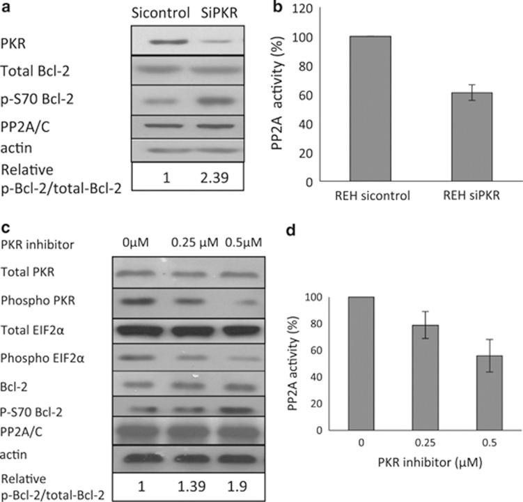https://cdn.ncbi.nlm.nih.gov/pmc/blobs/3e63/3789206/e7b1f9123ca3/bcj201342f2.jpg