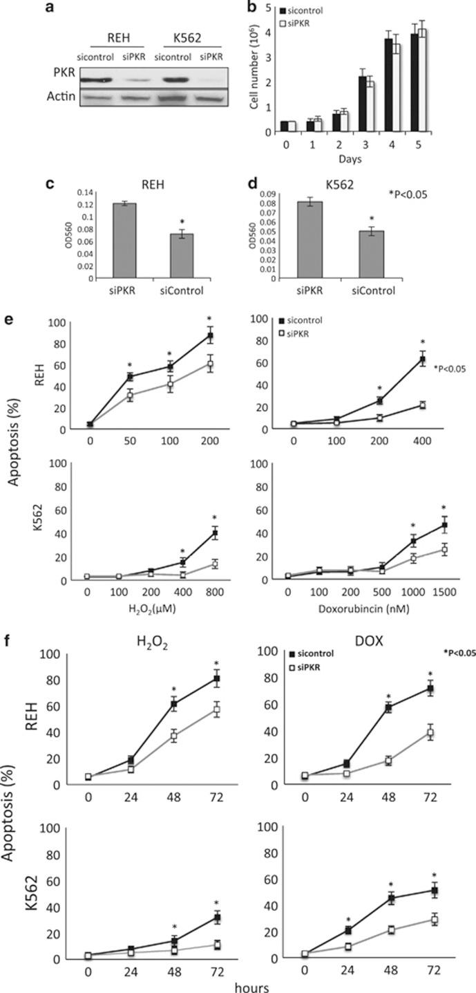https://cdn.ncbi.nlm.nih.gov/pmc/blobs/3e63/3789206/eab570cc5bab/bcj201342f1.jpg