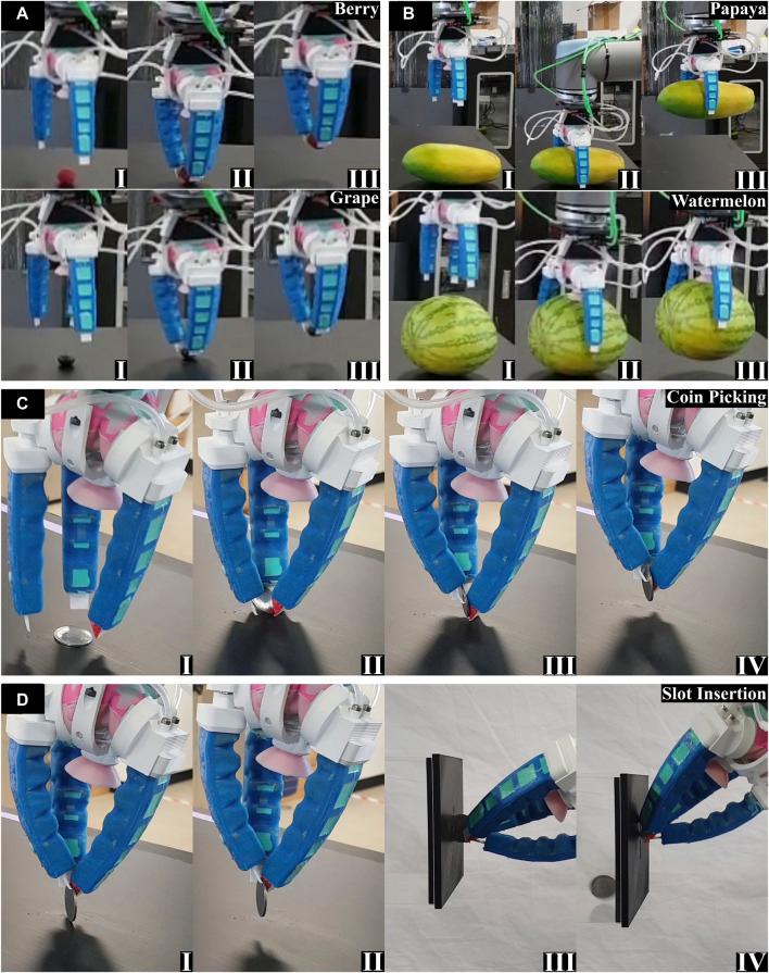 https://cdn.ncbi.nlm.nih.gov/pmc/blobs/3e69/11165351/fac3ffac2d2e/frobt-11-1356692-g008.jpg