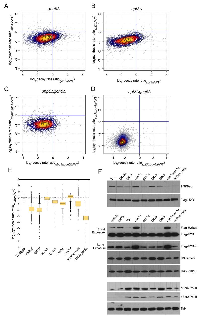 https://cdn.ncbi.nlm.nih.gov/pmc/blobs/3e69/5632562/791ee4c84745/emss-74126-f006.jpg