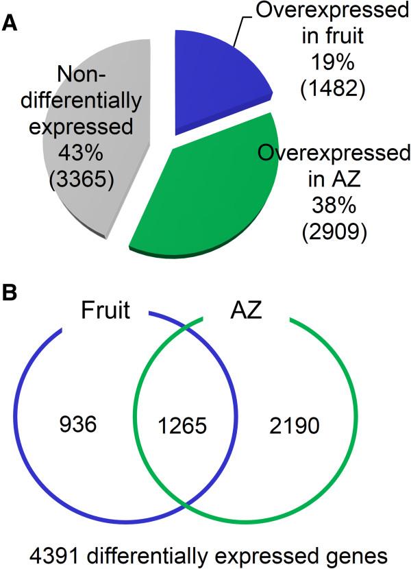 https://cdn.ncbi.nlm.nih.gov/pmc/blobs/3e6c/4046656/2a86dc89def9/12864_2013_5569_Fig2_HTML.jpg