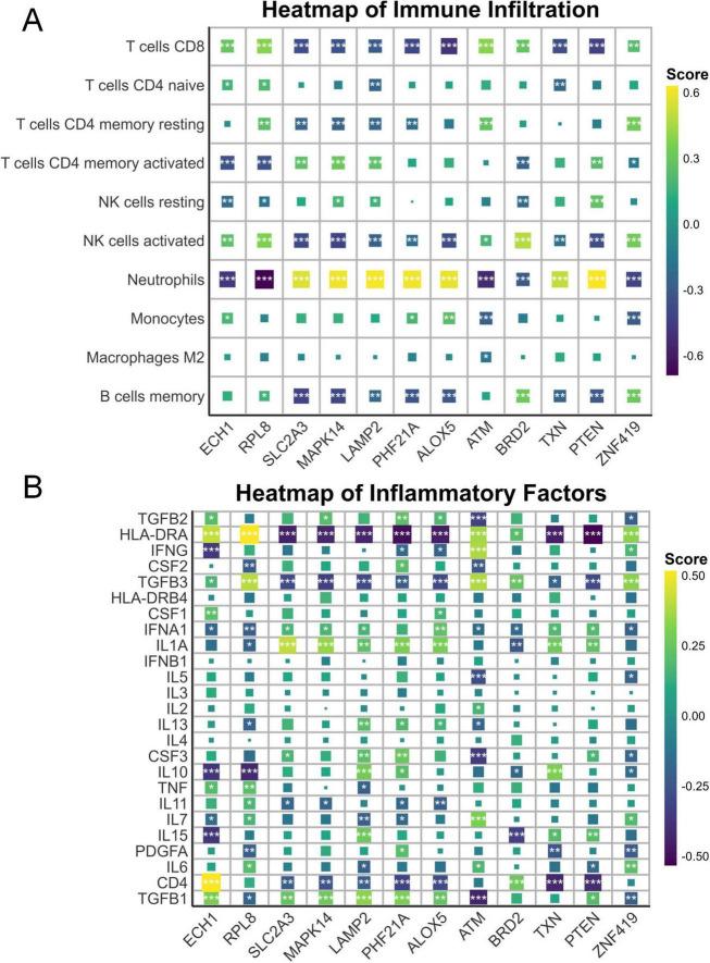 https://cdn.ncbi.nlm.nih.gov/pmc/blobs/3e6e/12411446/c7b5dec9f7a1/fnins-19-1622760-g003.jpg