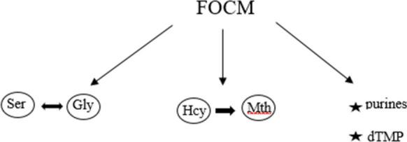 https://cdn.ncbi.nlm.nih.gov/pmc/blobs/3e71/11009207/deb736b959e1/11357_2024_1096_Fig1_HTML.jpg