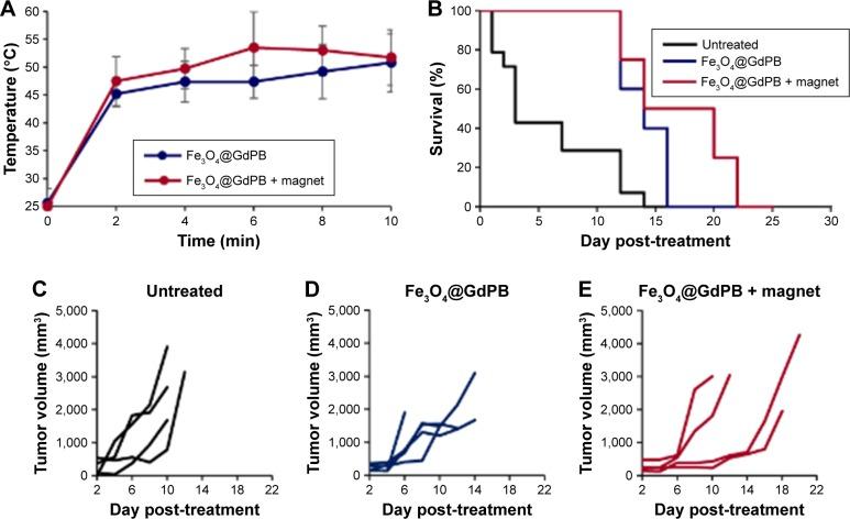 https://cdn.ncbi.nlm.nih.gov/pmc/blobs/3e74/5592912/c0f35142b424/ijn-12-6413Fig7.jpg