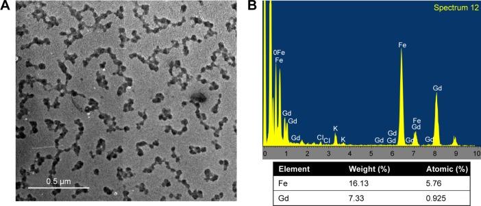 https://cdn.ncbi.nlm.nih.gov/pmc/blobs/3e74/5592912/d6b9dad513f9/ijn-12-6413Fig2.jpg