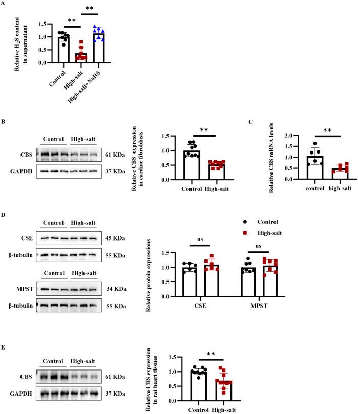 https://cdn.ncbi.nlm.nih.gov/pmc/blobs/3e75/12240975/50e01474775d/fphar-16-1502269-g001.jpg
