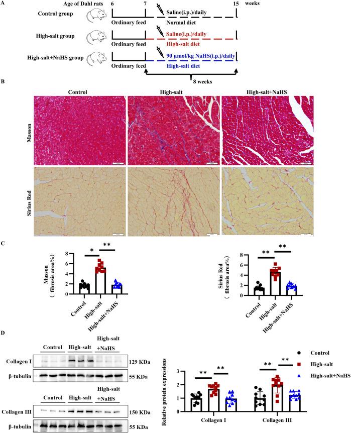 https://cdn.ncbi.nlm.nih.gov/pmc/blobs/3e75/12240975/5ce145220634/fphar-16-1502269-g002.jpg