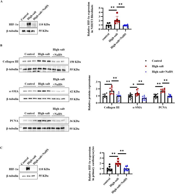 https://cdn.ncbi.nlm.nih.gov/pmc/blobs/3e75/12240975/9b1f857129c2/fphar-16-1502269-g005.jpg