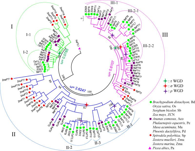 https://cdn.ncbi.nlm.nih.gov/pmc/blobs/3e75/9847362/0bbd83ab474e/fpls-13-1039500-g002.jpg