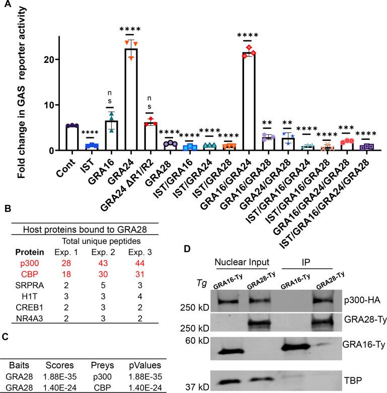 https://cdn.ncbi.nlm.nih.gov/pmc/blobs/3e76/11481881/9e7021ee4e15/mbio.02124-24.f004.jpg