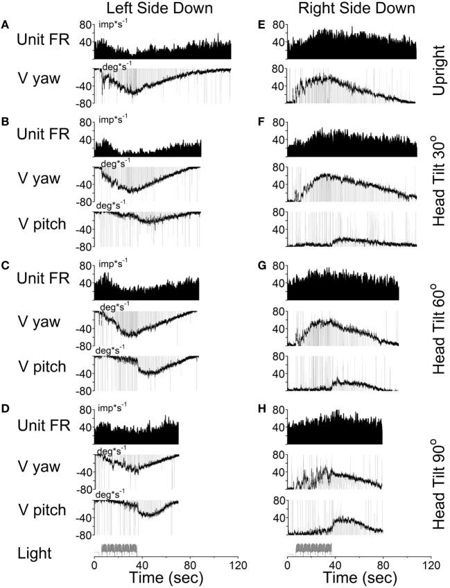 https://cdn.ncbi.nlm.nih.gov/pmc/blobs/3e76/5561016/363c8174a7f5/fneur-08-00386-g009.jpg