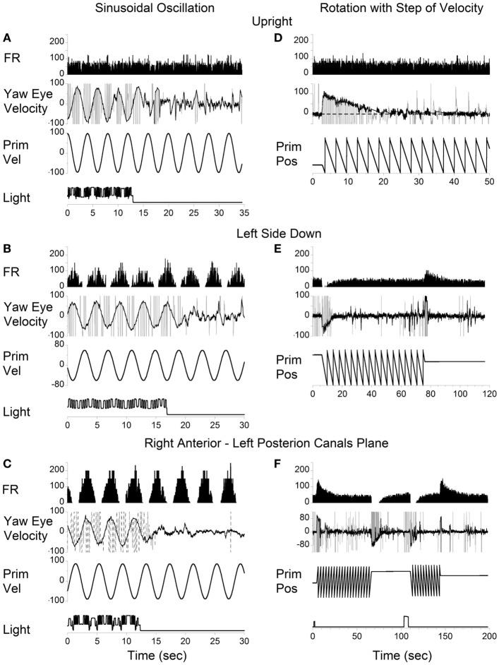 https://cdn.ncbi.nlm.nih.gov/pmc/blobs/3e76/5561016/b83670be90e8/fneur-08-00386-g007.jpg