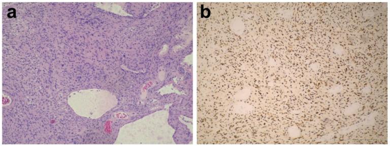 https://cdn.ncbi.nlm.nih.gov/pmc/blobs/3e77/9599054/ab1cadb8a558/brainsci-12-01347-g003.jpg