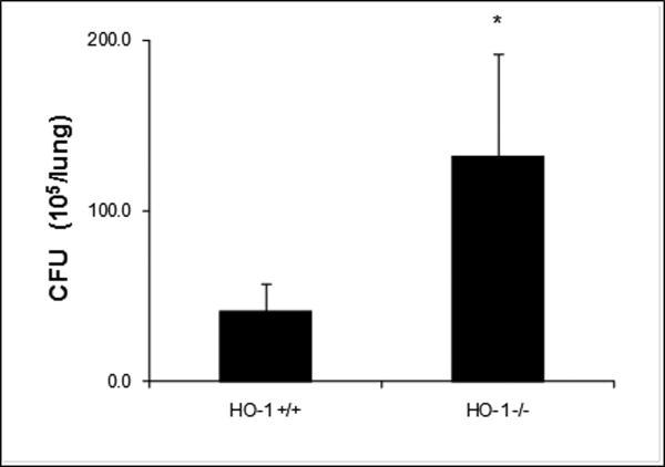 https://cdn.ncbi.nlm.nih.gov/pmc/blobs/3e78/4017357/f6f9078b73e3/nihms560288f6.jpg