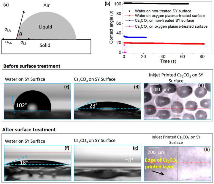 https://cdn.ncbi.nlm.nih.gov/pmc/blobs/3e7b/7795449/c4c210800928/polymers-13-00080-g002.jpg