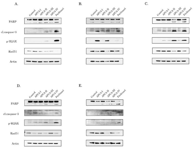 https://cdn.ncbi.nlm.nih.gov/pmc/blobs/3e7b/7865999/01670afc1fce/molecules-26-00616-g005.jpg