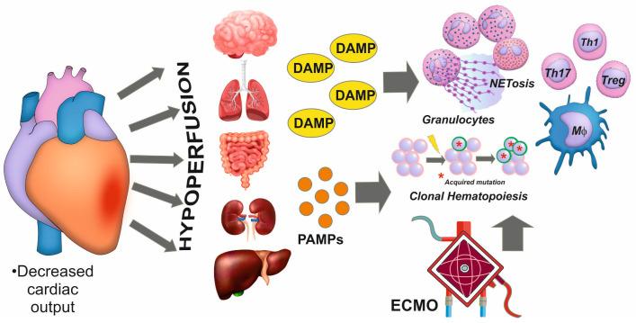 https://cdn.ncbi.nlm.nih.gov/pmc/blobs/3e7c/11428626/508094663641/biomedicines-12-02073-g002.jpg