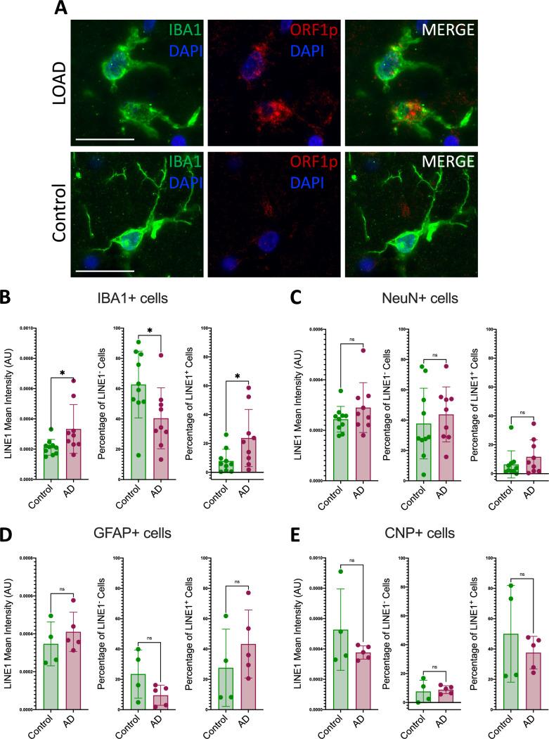 https://cdn.ncbi.nlm.nih.gov/pmc/blobs/3e7c/11602836/6df219f0ae7f/401_2024_2835_Fig2_HTML.jpg