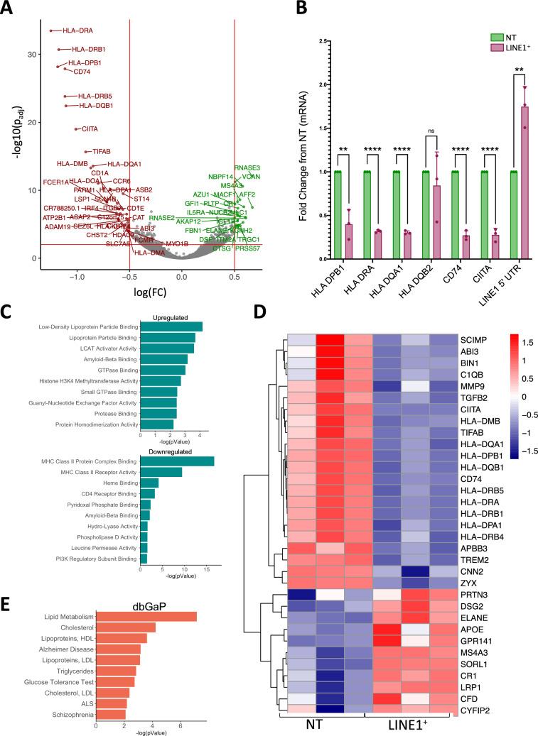 https://cdn.ncbi.nlm.nih.gov/pmc/blobs/3e7c/11602836/8af437d3ca00/401_2024_2835_Fig6_HTML.jpg