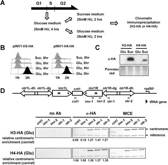 https://cdn.ncbi.nlm.nih.gov/pmc/blobs/3e80/1316113/5540e4cfa13e/gki1011f1.jpg