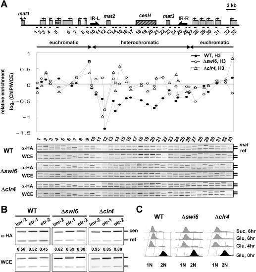 https://cdn.ncbi.nlm.nih.gov/pmc/blobs/3e80/1316113/aa8202b93e1d/gki1011f3.jpg