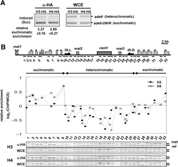 https://cdn.ncbi.nlm.nih.gov/pmc/blobs/3e80/1316113/e3269fe3c59f/gki1011f2.jpg