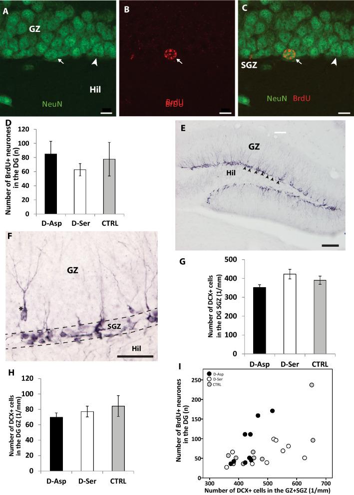 https://cdn.ncbi.nlm.nih.gov/pmc/blobs/3e80/7969773/2b2c6d6b3a1b/41598_2021_85360_Fig5_HTML.jpg