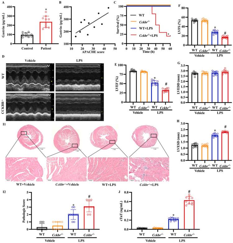 https://cdn.ncbi.nlm.nih.gov/pmc/blobs/3e81/10502292/0e1044f70a3a/gr1.jpg