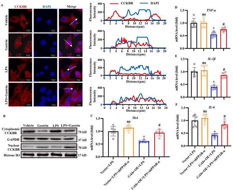 https://cdn.ncbi.nlm.nih.gov/pmc/blobs/3e81/10502292/349433787947/gr6.jpg