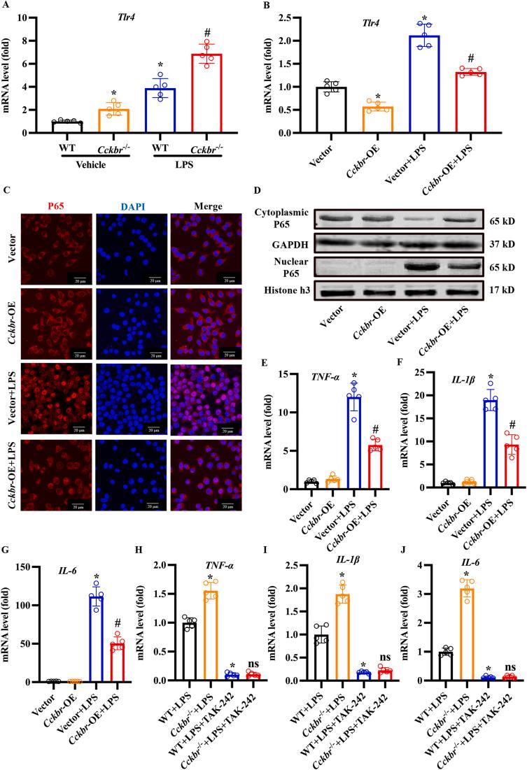 https://cdn.ncbi.nlm.nih.gov/pmc/blobs/3e81/10502292/3bc71c7d13dc/gr5.jpg