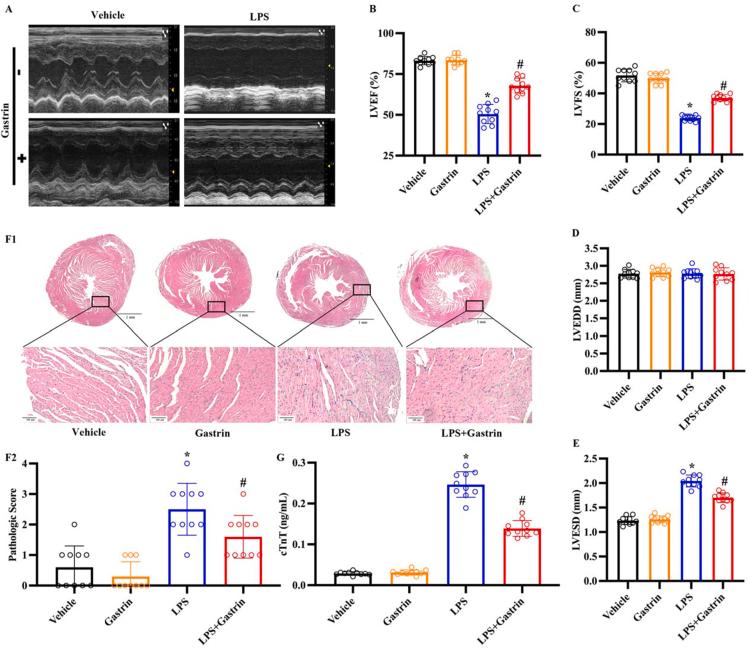 https://cdn.ncbi.nlm.nih.gov/pmc/blobs/3e81/10502292/8506a3877ab7/gr2.jpg