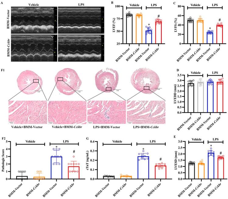 https://cdn.ncbi.nlm.nih.gov/pmc/blobs/3e81/10502292/e3f0078fc518/gr4.jpg