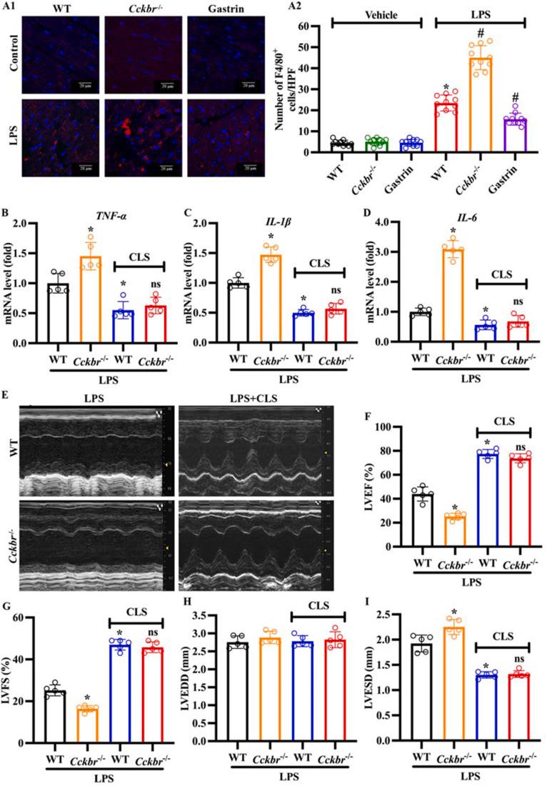 https://cdn.ncbi.nlm.nih.gov/pmc/blobs/3e81/10502292/f5c5a3c307d3/gr3.jpg